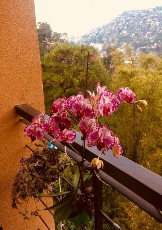 Courtyards Peak-Corner Pinestay - At Goshenland Baguio Baguio City Esterno foto